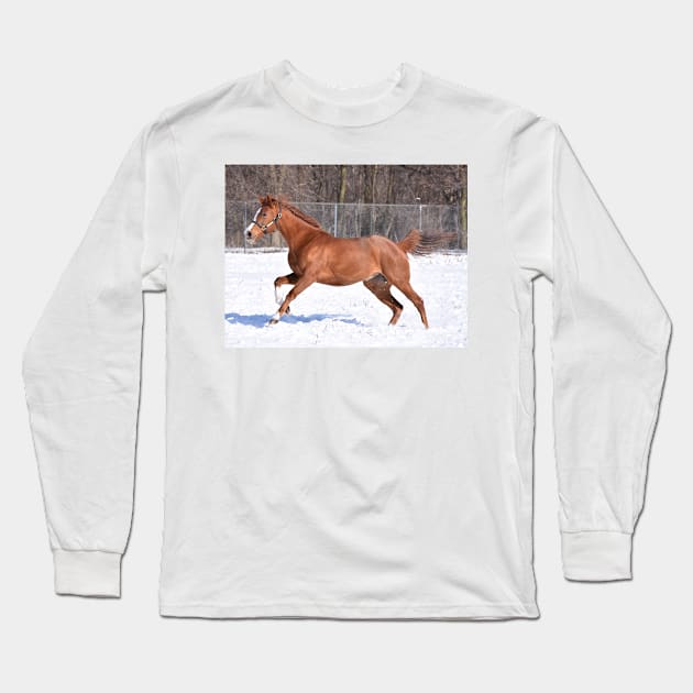 Verrazano filly Long Sleeve T-Shirt by theartsyeq